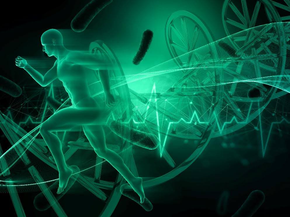 Neuroplasticity Unleashed: The Brain’s Power to Reverse Disability